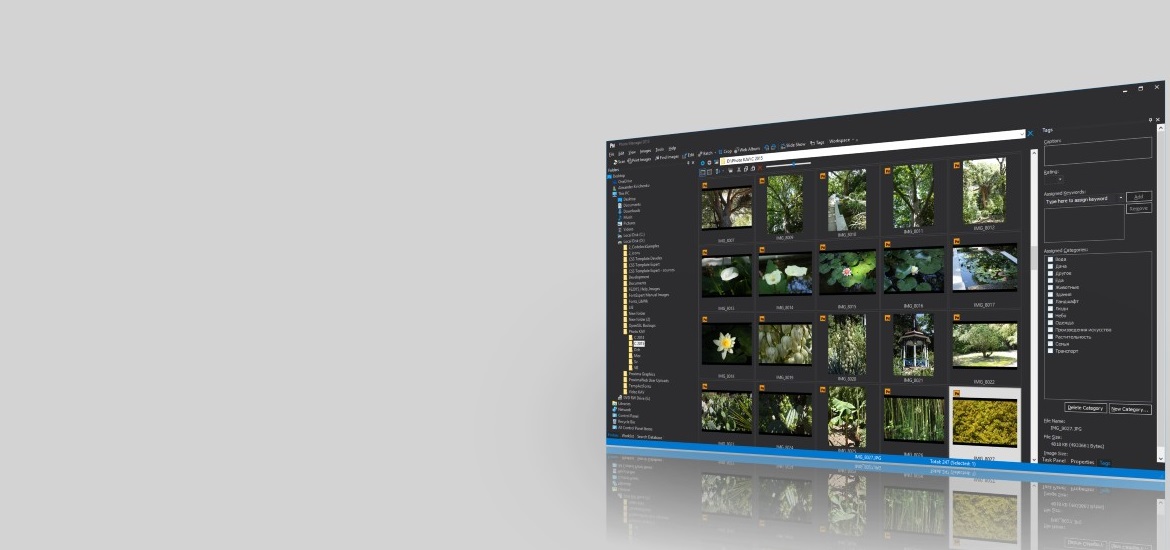 Photo Manager Pro