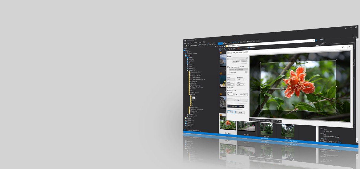 Photo Manager Pro
