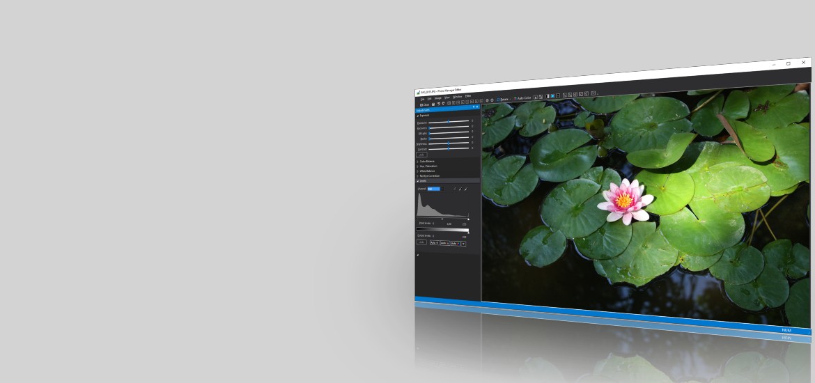 Photo Manager Pro