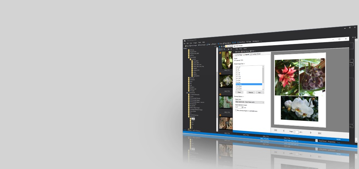 Photo Manager Pro
